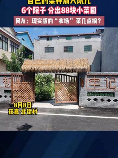 自己的菜种别人院儿 6个院子 分出88块小菜园 种菜 菜园