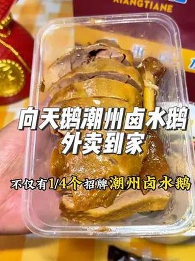 向天鹅潮州卤水鹅,外卖到家40几块,想吃的左下角点外卖吧 向天鹅 欧洲杯