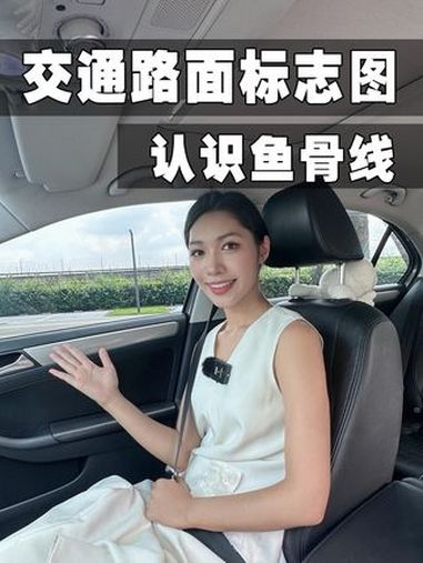 交通路面标志图—认识鱼骨线 汽车知识分享 每天一个用车知识 驾驶技巧