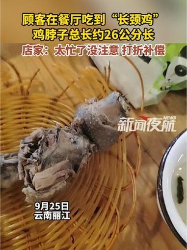 9月25日,云南丽江。顾客在餐厅吃到“长颈鸡”,鸡脖子总长约26公分长,店家:太忙了没注意