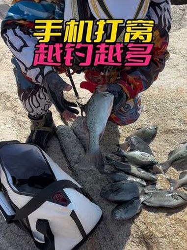 手机打窝果然厉害啊 钓鱼人就是这么疯狂 钓鱼的乐趣只有钓鱼人懂 钓鱼日记 浮游矶钓