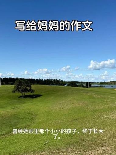 写给妈妈的作文 送我上幼儿园的第一天,她眼里藏着不舍与牵挂。小时候,她为我洗衣做饭,一针一