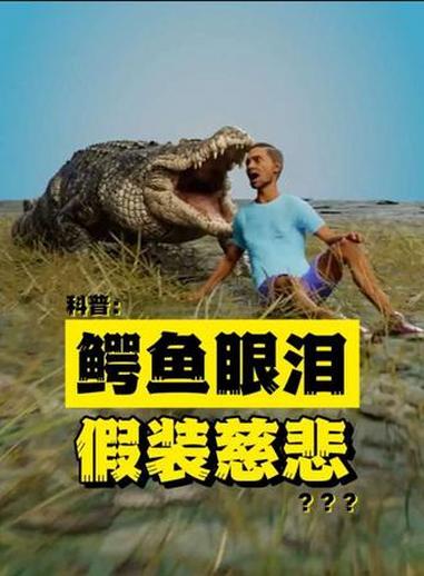 鳄鱼为什么会流泪?#科普一下 #鳄鱼的眼泪 #有趣的知识又增长了 #冷知识科普 #一般人不