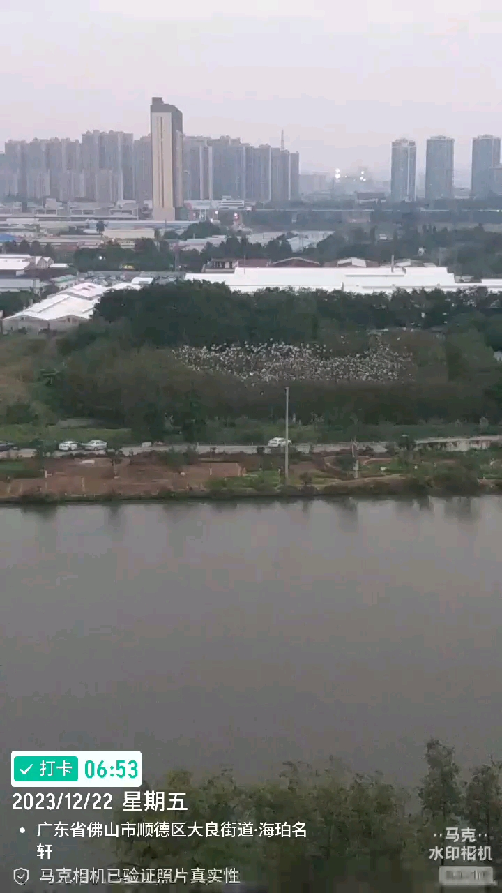 早上好冬至快乐!