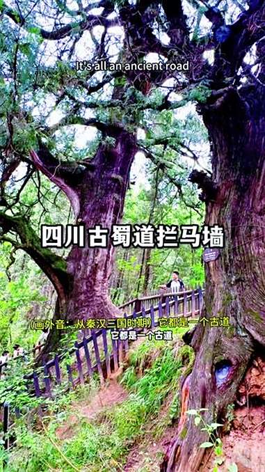 四川古蜀道是古代从成都到咸阳出川的一条两千多年的古代交通路线,广元剑阁县拦马墙是古蜀道原貌