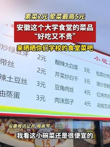 素菜2元-3元，荤菜最高5元。安徽电子信息职业技术学院 食堂的菜品真是“好吃又不贵”，来晒