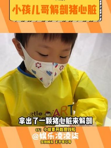 孩子虽然少了,但是质量确实好了 馋哭了 干货 解剖 满级小孩 肉食主义
