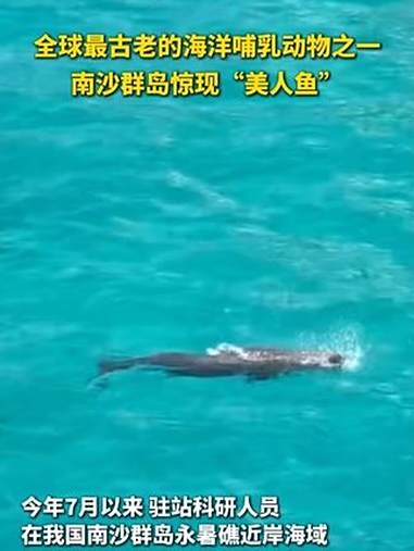 “大鱼”又回来了,“美人鱼”现身南沙群岛(记者:洪泽华)
