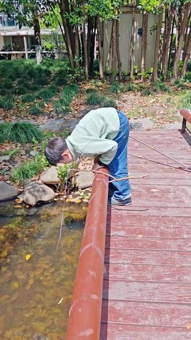 #小小捕鱼者 #小小捕虾者 #小小捕鱼达人 #儿童网鱼 #小小打渔郎