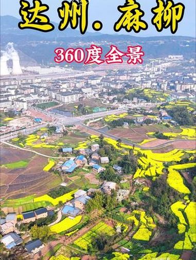 四川达州东部经开区麻柳镇360度全景 油菜花开了美不胜收。春天的味道 农村生活 油菜花 航