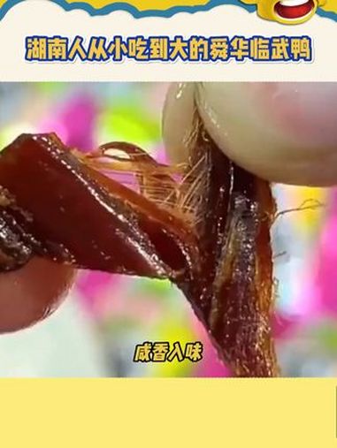湖南人从小吃到大的舜华临武鸭 鸭货 解馋 追剧小零食 妈呀太香了
