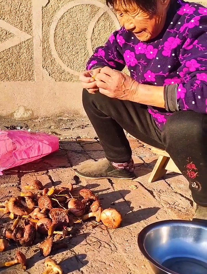 今天和奶奶采了点红松伞做到大菜,红松蘑炖红烧肉