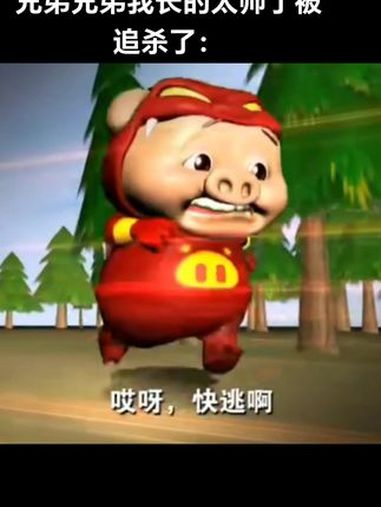 兄弟我长的太帅了,表情包新鲜出炉 猪猪侠 猪猪侠表情包 猪猪侠gg爆