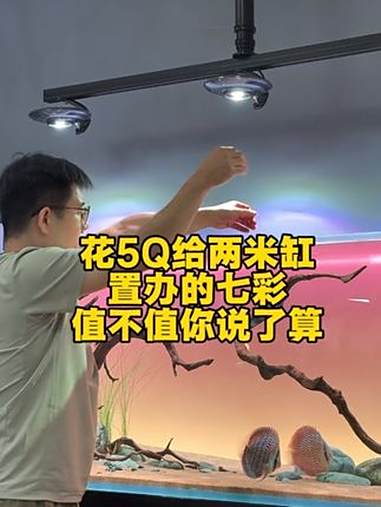 花5Q给两米缸置办的七彩,值不值你说了算 鱼缸 鱼缸造景 司马光玩缸