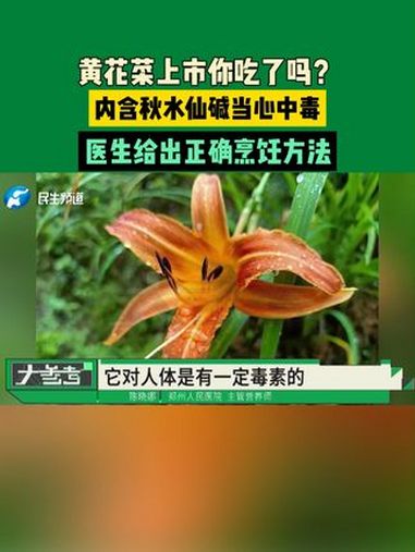 黄花菜上市你吃了吗?内含秋水仙碱当心中毒,医生给出正确烹饪方法