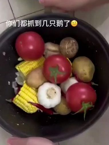 抓大鹅 抖音小游戏 分享生活小妙招 全民抓大鹅小游戏 学生党