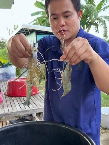 鲜活的罗氏虾，刺身会更美味 泰国大叔 泰国美食 内容启发搜索 种草激励计划 全民任务