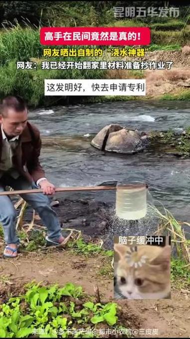 用完的食用油油桶先别扔!竟然还有这个作用 浇水神器 种菜工具 废物利用 我的乡村生活