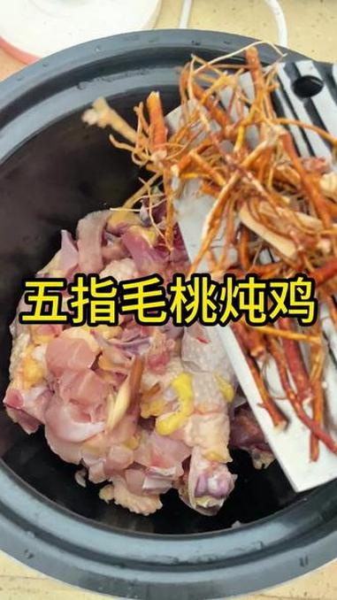 五指毛桃炖鸡汤原来这么厉害#五指毛桃 #五指毛桃炖鸡汤#养生