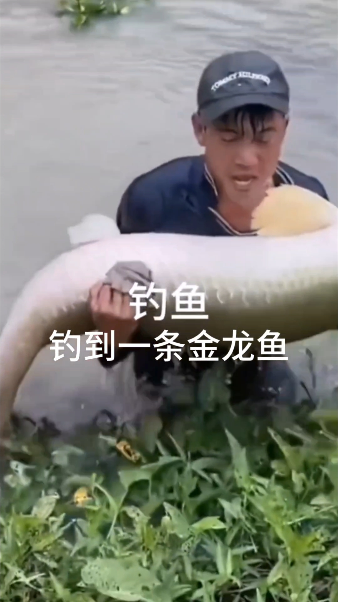 越南小伙，钓鱼钓到一条金龙鱼#扬帆看世界#