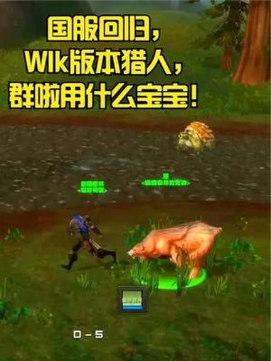 国服回归,wlk版本猎人,群啦用什么宝宝!魔兽世界 魔兽国服