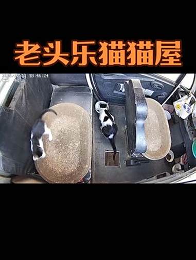 我上次发的老头乐做的猫猫屋,看来大家都很喜欢,很多朋友问我哪里买老头乐,去找收二手电车的地