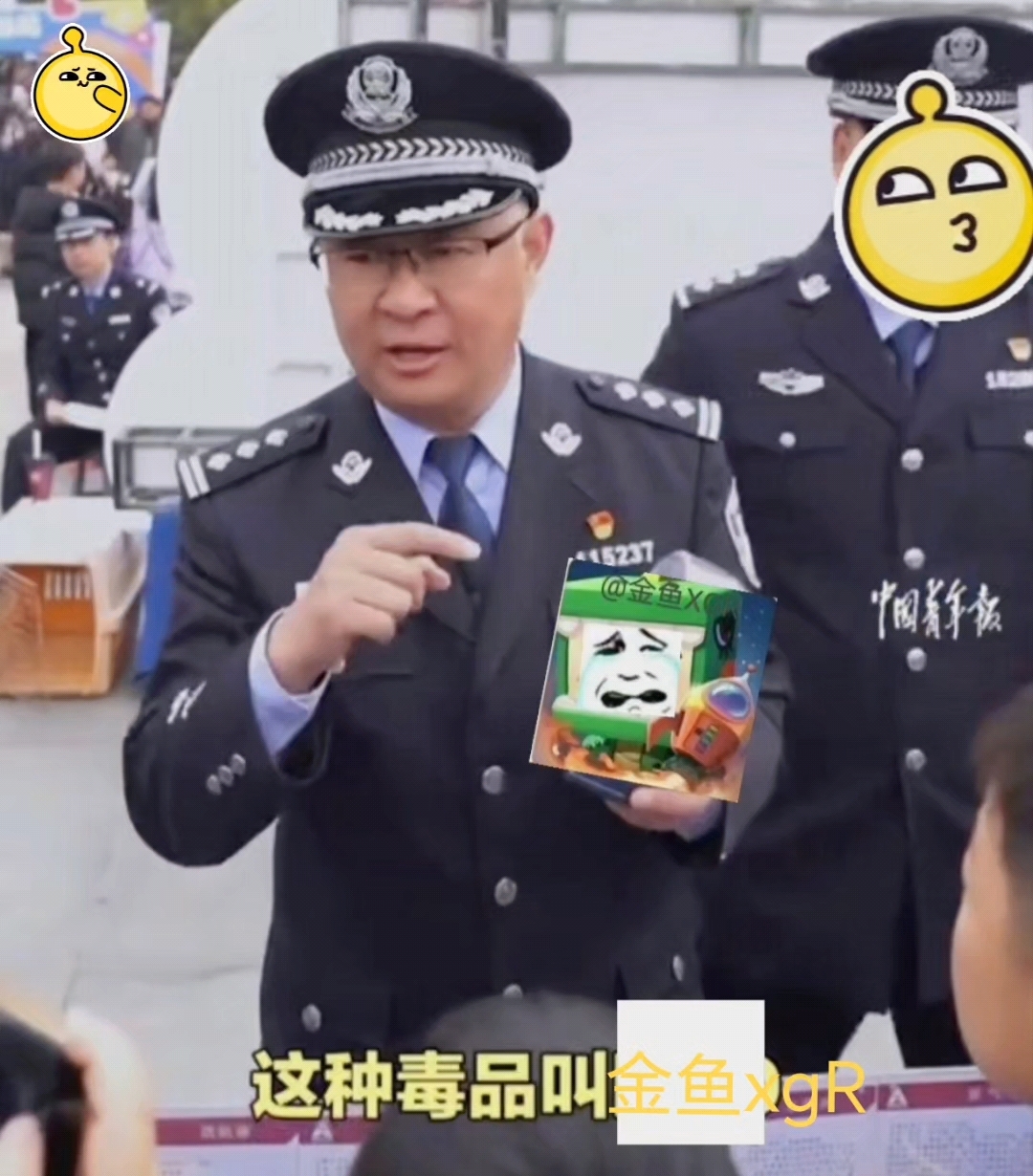 制裁金鱼xgR表情包