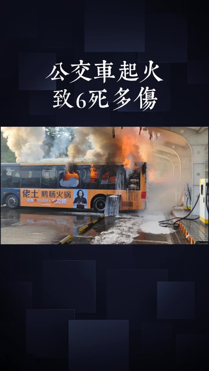 分享视频