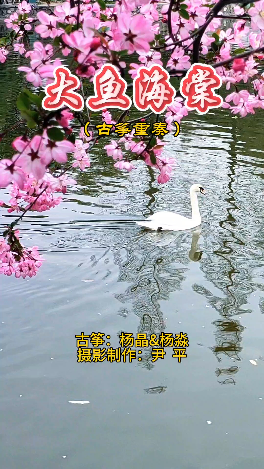 《大鱼海棠》旋律优美,音乐深情。讲述关于生命爱情和梦想的故事