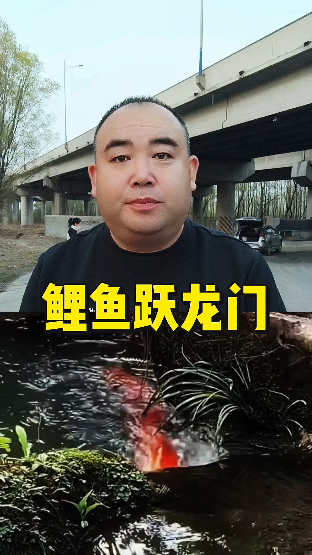 鲤鱼跃龙门