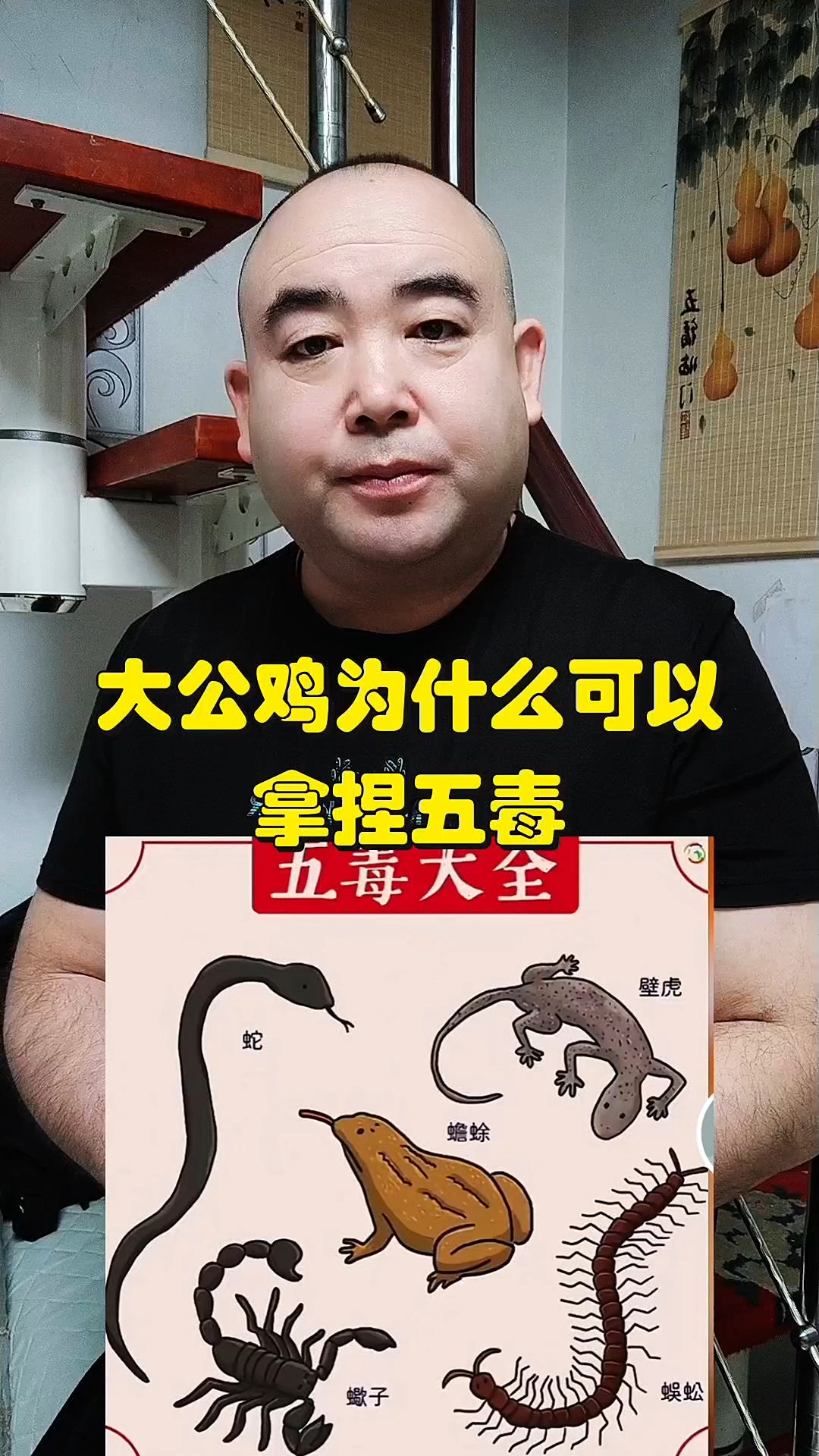 大公鸡为什么可以拿捏五毒