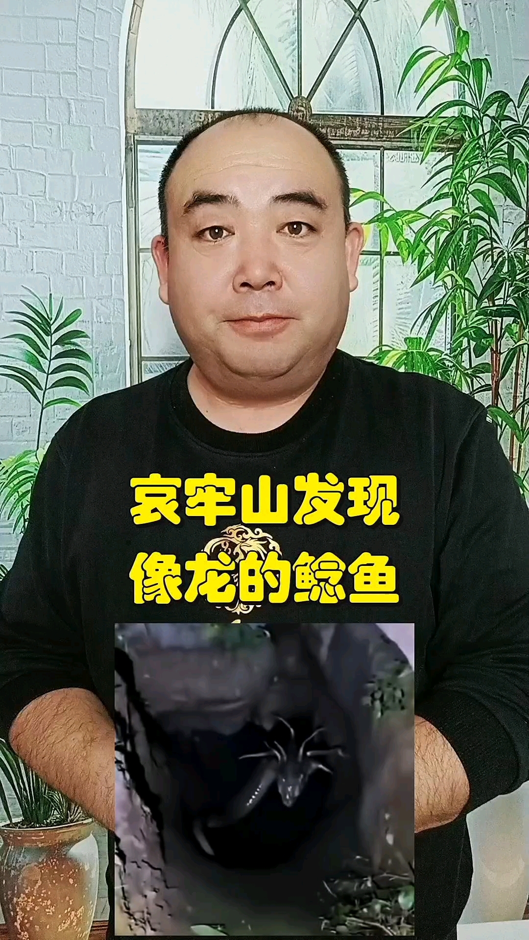 哀牢山发现像龙的鲶鱼