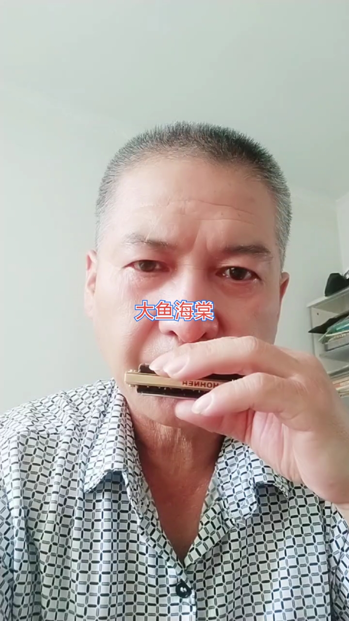 口琴清吹,大鱼海棠