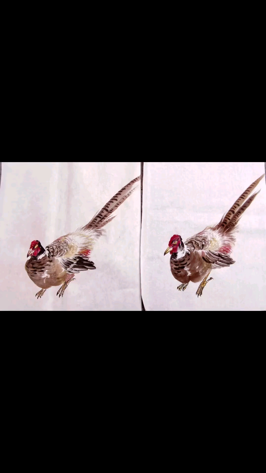 老师画的野鸡vs我画的