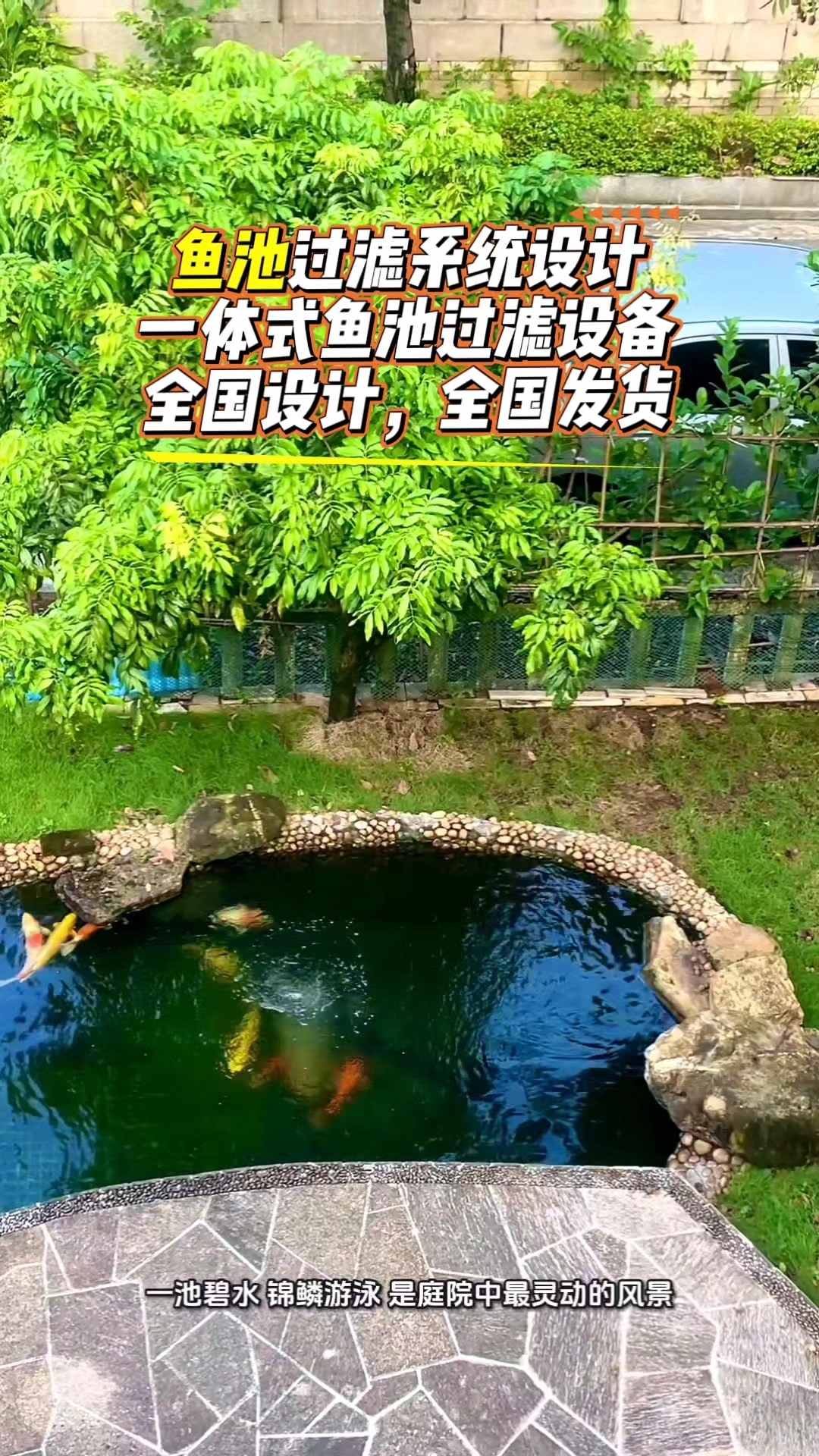 从鱼池过滤系统设计到设备安装与调试,我们奥利仕提供专业服务