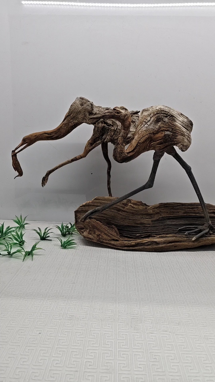 两只恩爱的《苍鹭》.我的根雕艺术作品请欣赏