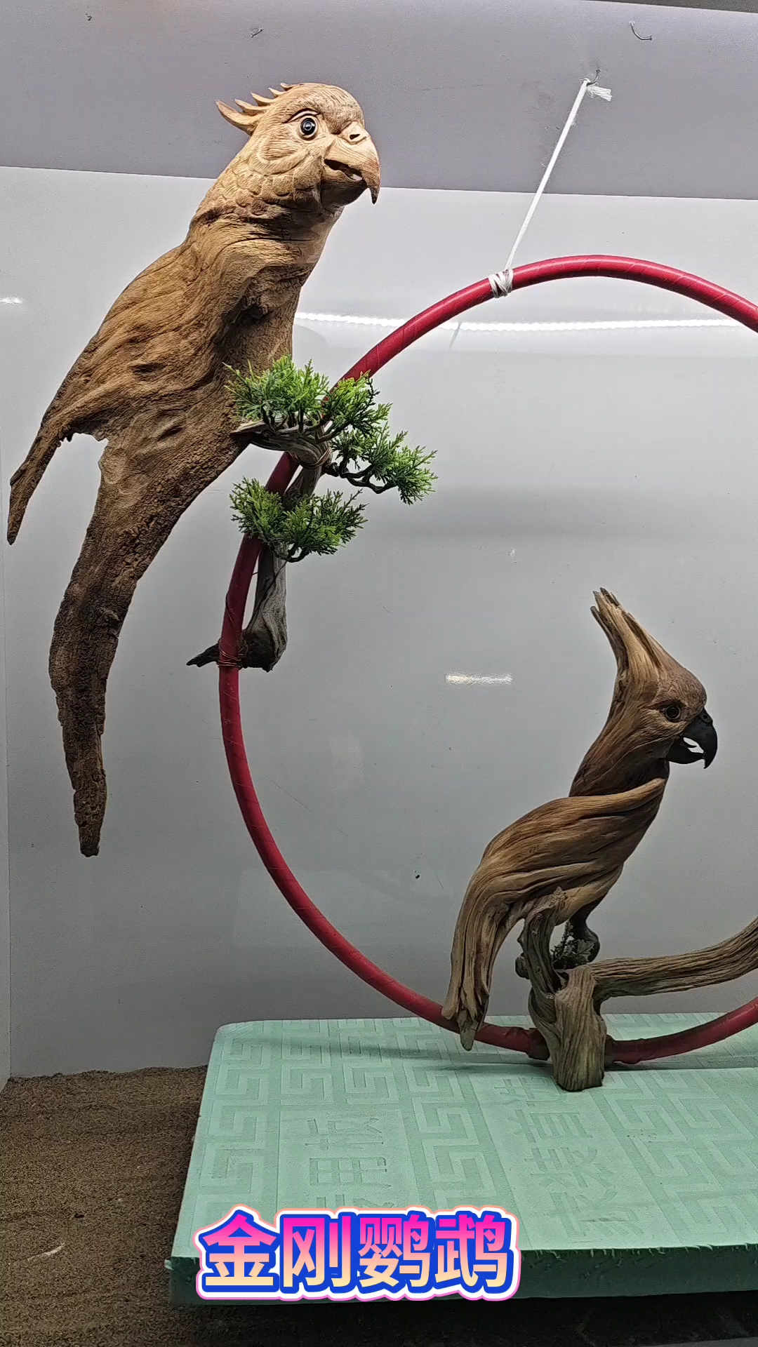 天然随形的柏根,《金刚鹦鹉》我的根雕艺术作品请欣赏