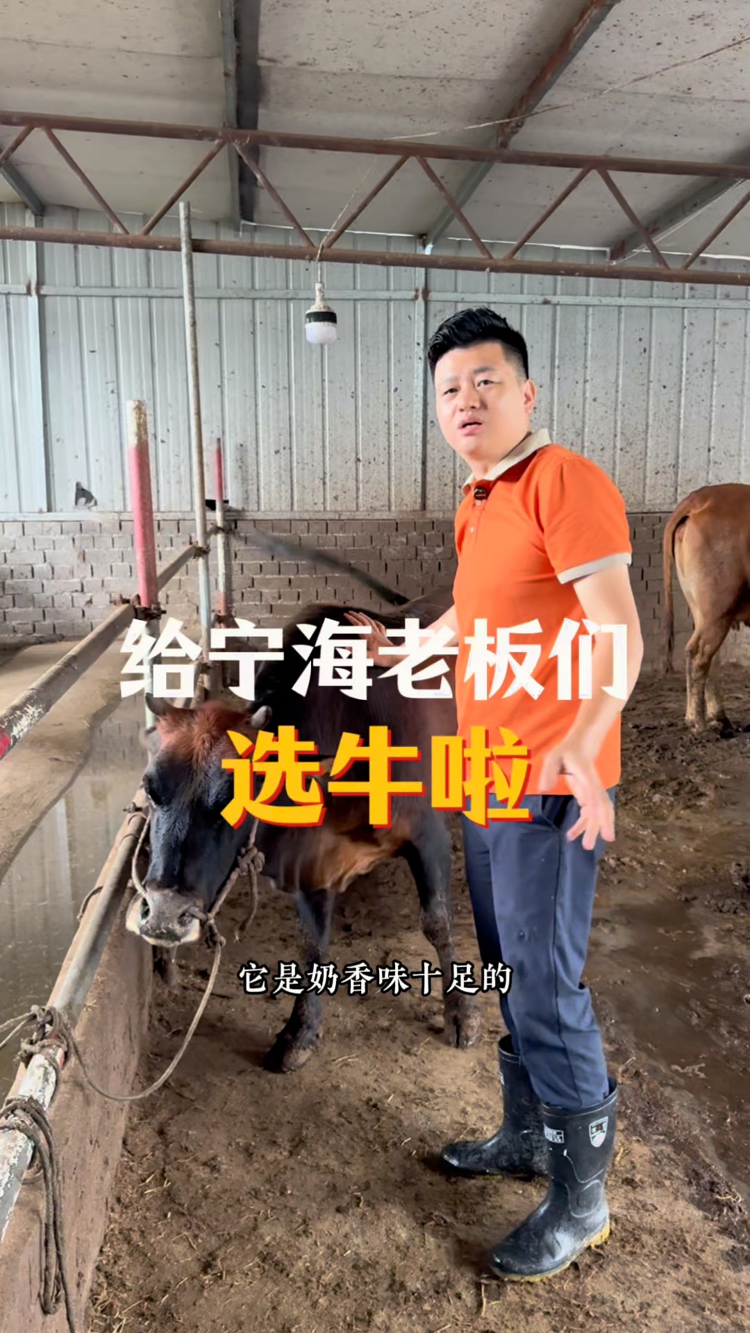 一周来吃三次的鲜牛肉火锅,老人孩子吃的都放心,吃的就是食材新