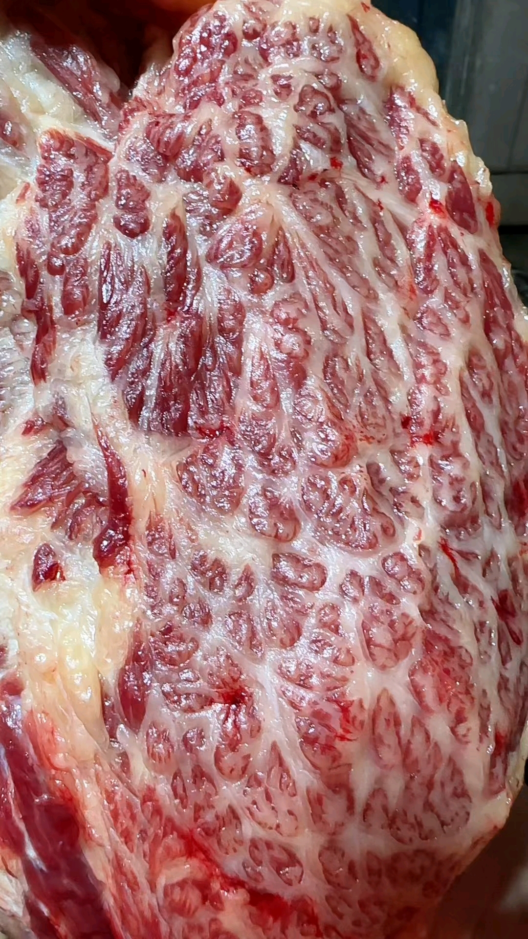 一周来吃三次的鲜牛肉火锅,老人孩子吃的都放心,吃的就是食材新