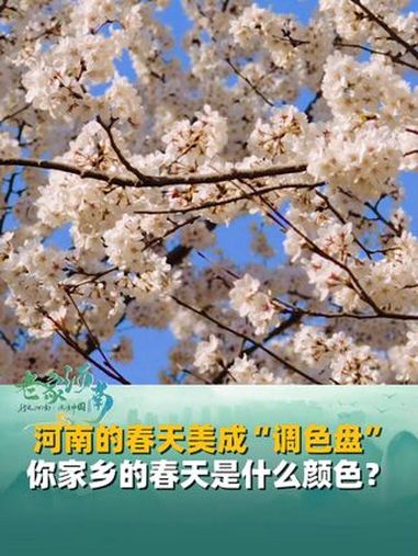 河南的春天美成“调色盘”,粉色樱花、黄色油菜花、绿色茶山……你家乡的春天是什么颜色?豫见春