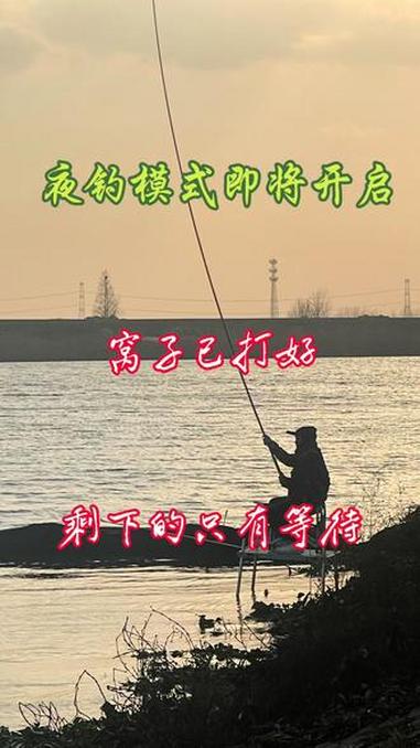上热门 杭埠河夜钓 户外钓鱼 原创视频 落日晚霞