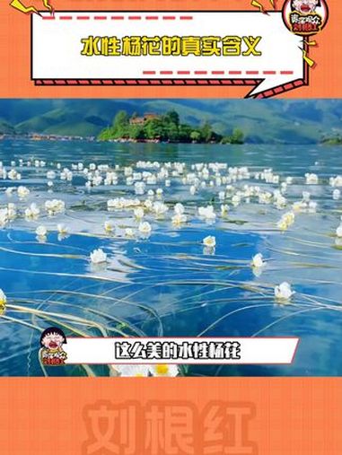 水性杨花不应该赋予贬低女性的含义 水性杨花 海菜花 科普 内容过于真实