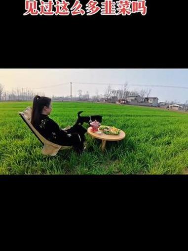 北方的朋友们让开,我给南方小伙伴们普及一下韭菜长什么样子#田间小坐 #百亩田 #娟姐在家做