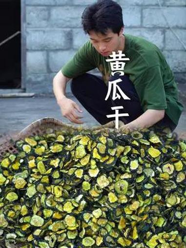 家里种的黄瓜吃不完,准备晒干做成黄瓜干,既好吃又方便保存 新农人计划2024 农村美食 家