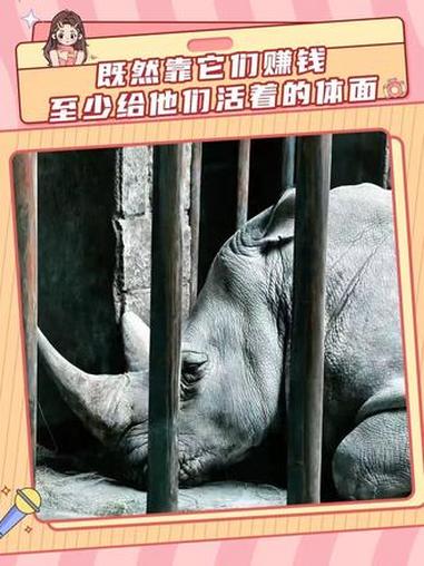 既然靠它们赚钱,至少给他们活着的体面(cr:八宝鱼片)#保护动物 #人与自然和谐共处 #海