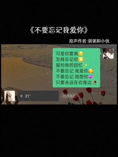 不要忘记我爱你 不要忘记我想你 让你的好集美给你唱 不要忘记我爱你 翻唱 语音条唱歌 原声