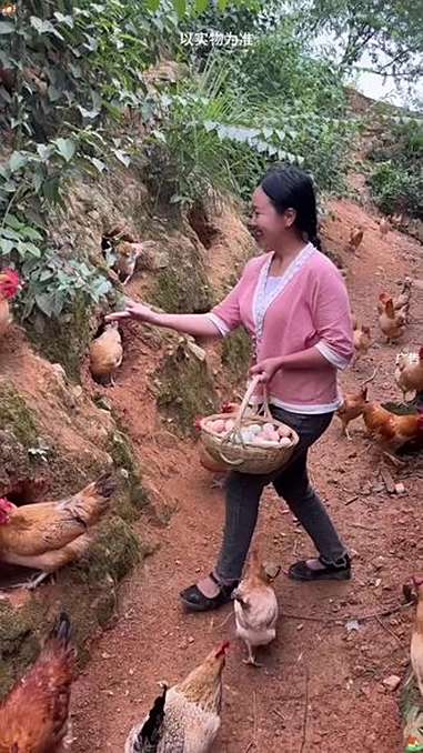 生态散养土鸡 农村土鸡蛋 营养丰富 特色农产品