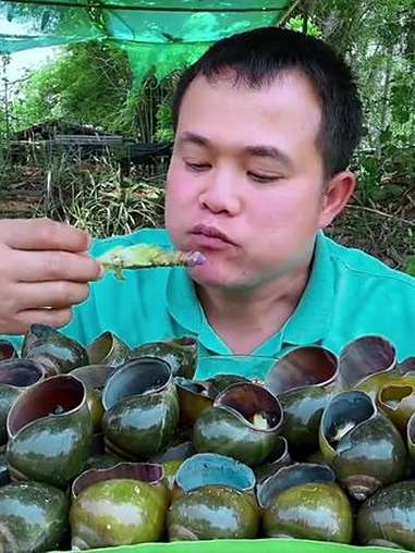 泡椒竹笋尖酸辣酱汁大青螺 优质农产品 泰国大叔 泰国美食 内容启发搜索 种草激励计划