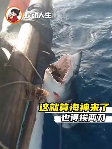 在抖音你甚至能看到第一视角跟鲨鱼打架（危险动作请勿模仿）离谱 钓鱼 鲨鱼 危险动作请勿模仿