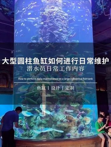 大型圆柱鱼缸,如何进行日常维护?圆柱鱼缸 鱼缸定制 鱼缸设计 大型鱼缸制作 亚克力鱼缸